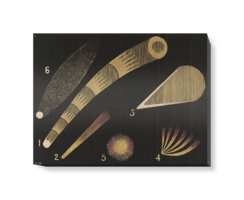 'Print of an original wall hanging, showing six comets, c.1850-1860' Canvas wall art