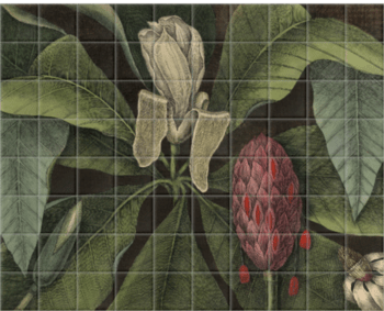 'Magnolia, the umbrella tree' Ceramic Tile Mural