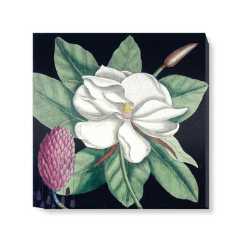 'Magnolia II' Canvas Wall Art