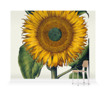 'Sunflower' Wallpaper Mural