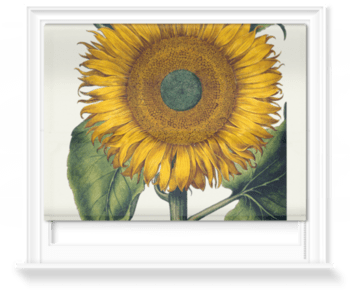 'Sunflower' Roller Blind
