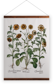 'Chrysanthemum I' Wall Hanging