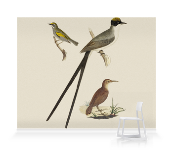 'Flycatcher, Anteater and Warbler' Wallpaper Mural