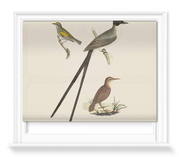 'Flycatcher, Anteater and Warbler' Roller Blind