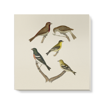 'Finches' Canvas Wall Art
