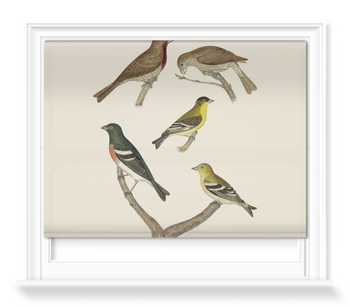 'Finches' Roller Blind