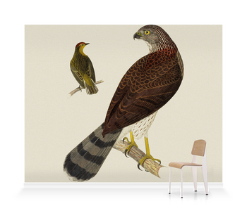 'Cooper's Hawk and Palm Warbler' Wallpaper Mural