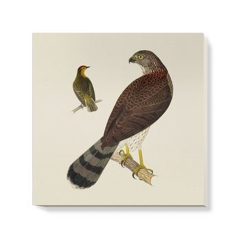 'Cooper's Hawk and Palm Warbler' Canvas Wall Art
