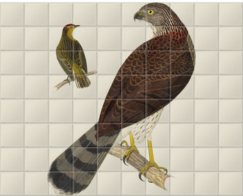 'Cooper's Hawk and Palm Warbler' Ceramic Tile Mural