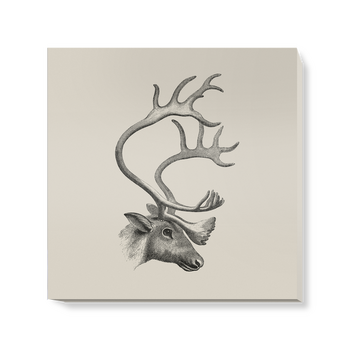 'The Caribou' Canvas Wall Art