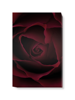 'Deep Red Rose' Canvas Wall Art