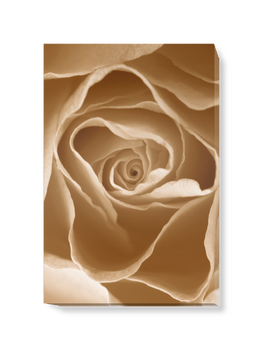 'Centre of a Rose I' Canvas Wall Art