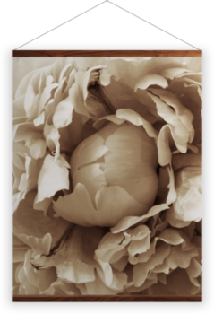 'Centre of a Peony' Wall hangings