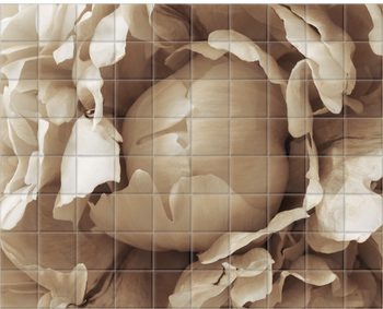 'Centre of a Peony' Ceramic Tile Mural