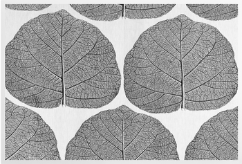 'Leaf by Terence Conran' Art Prints