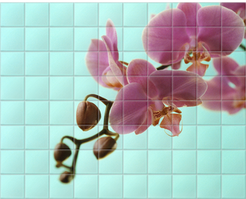 'May Orchid' Ceramic Tile Mural