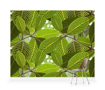 ‘Safari Leaf’ Wallpaper Mural | SurfaceView