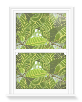 'Safari Leaf' Decorative Window Film
