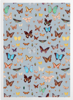'Bugs and Butterflies' Art prints