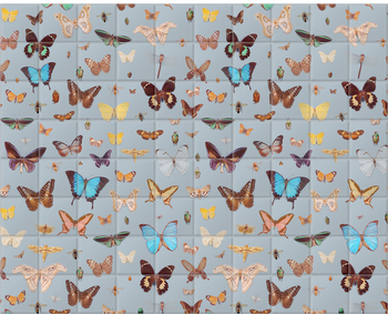 'Bugs and Butterflies' Ceramic tile murals