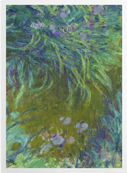 'Irises' Art Prints