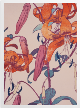 'Tiger Lilies' Art Prints