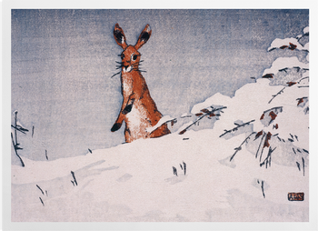 'Snow and Hare' Art Prints