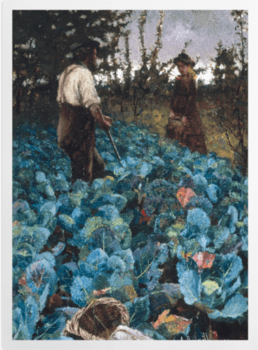 'A Cabbage Garden' Art Prints