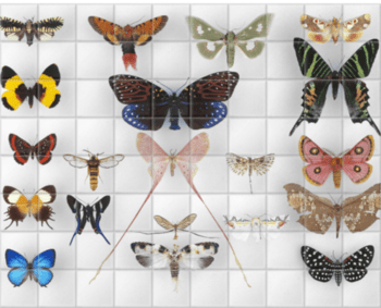 'Various Butterflies 1' Ceramic Tile Mural