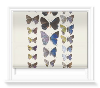 'Lycaenidae Hairstreak Butterflies' Roller Blind