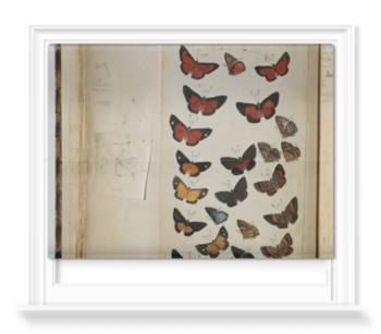 'Various Butterflies 2' Roller Blinds