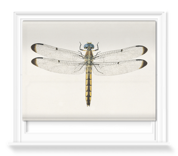 'Dragonfly 1' Roller Blind
