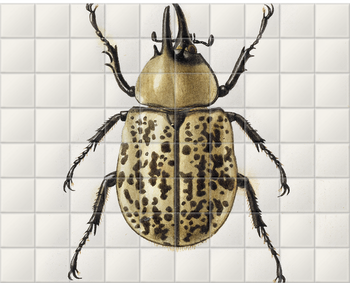 'Scarab Beetle' Ceramic Tile Mural