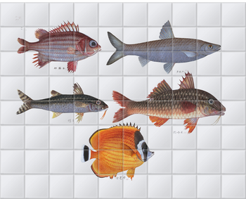 'Various Fish' Ceramic Tile Mural