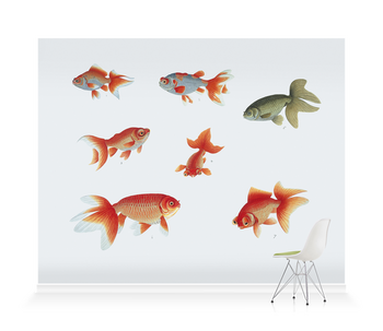 'Various Goldfish' Wallpaper Mural