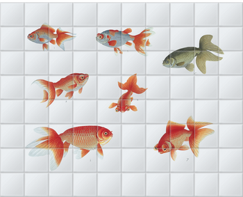 'Various Goldfish' Ceramic Tile Mural