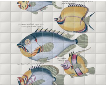 'Poissons, Ecrevisses et Crabes 4' Ceramic Tile Murals