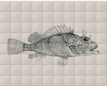 'South American Fish' Ceramic Tile Mural