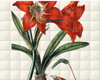 'Amaryllis Brasiliensis' Ceramic Tile Mural