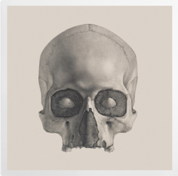 'Engraving of a Human Skull' Art Prints