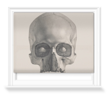 'Engraving of a Human Skull' Roller Blind