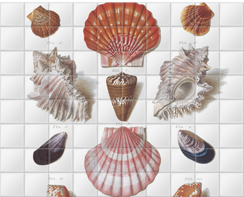 'Shells 8' Ceramic Tile Mural