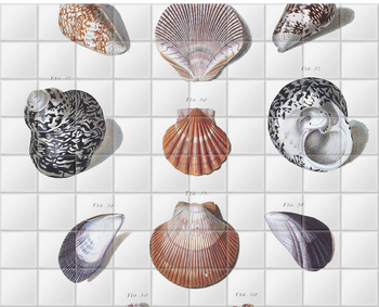'Shells 10' Ceramic Tile Mural