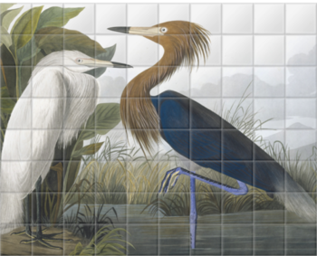 'Reddish Egret, Egretta Rufescens' Ceramic Tile Mural
