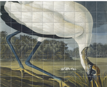 'Wood Stork, Mycteria American' Ceramic Tile Mural