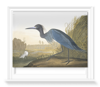 'Little Blue Heron, Egretta Caerulea' Roller Blind