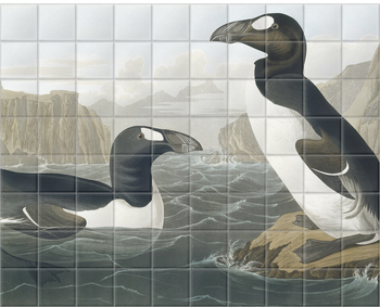 'Greek Auk, Pinguinus Impennis' Ceramic Tile Mural