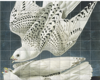 'Gyrfalcon, Falco Rusticolus' Ceramic Tile Mural