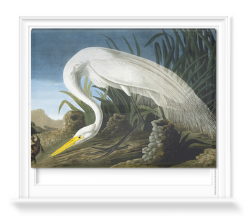 'Great Egret, Casmerodius Albus' Roller Blind