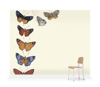 'Butterflies' Wallpaper Murals